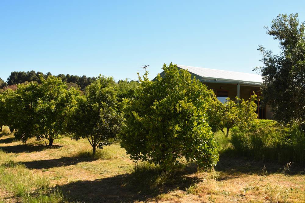 Swan Valley Sisters Henley Brook Bagian luar foto