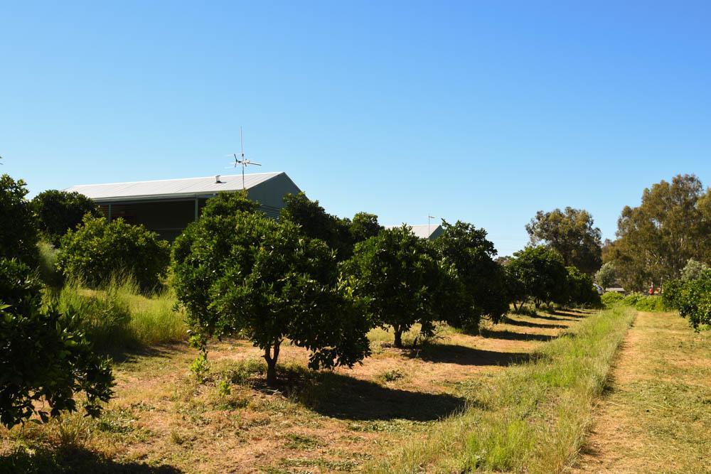 Swan Valley Sisters Henley Brook Bagian luar foto