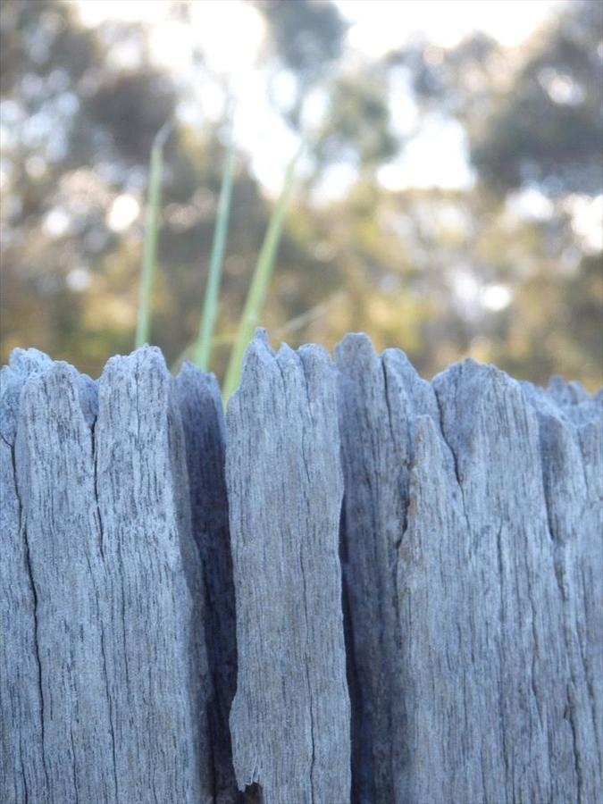 Swan Valley Sisters Henley Brook Bagian luar foto