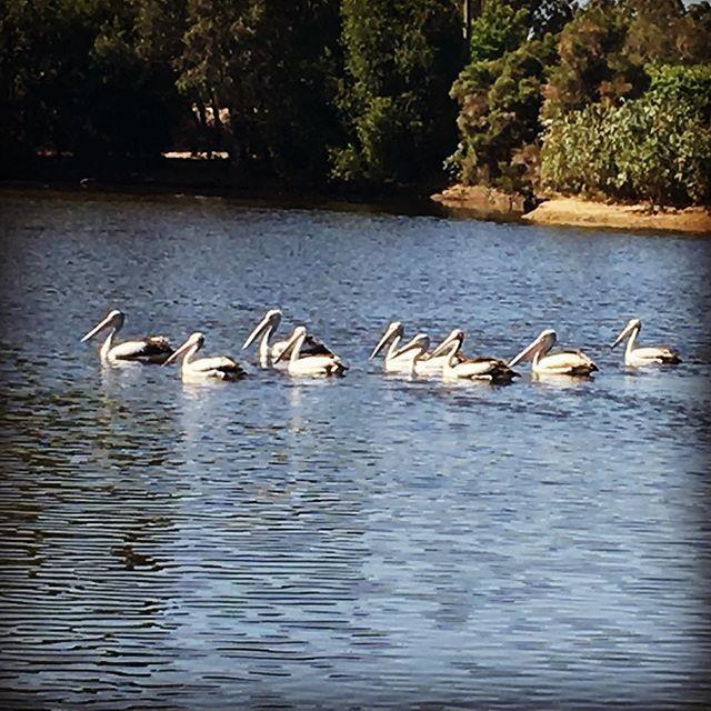 Swan Valley Sisters Henley Brook Bagian luar foto